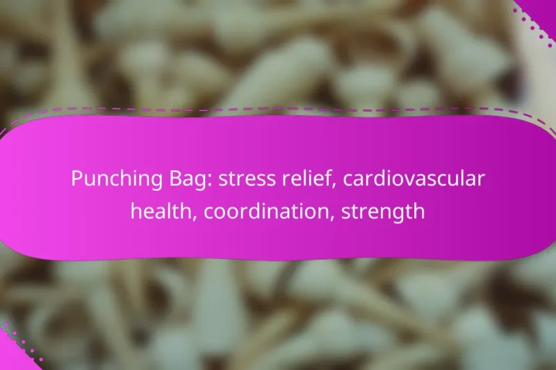 Punching Bag: stress relief, cardiovascular health, coordination, strength