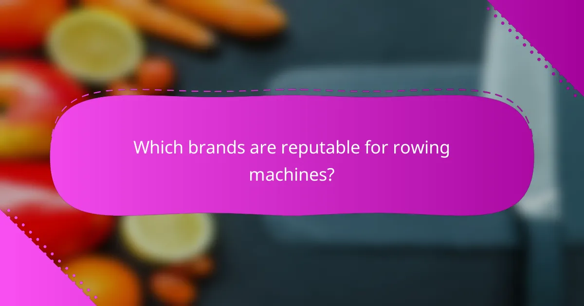 Which brands are reputable for rowing machines?